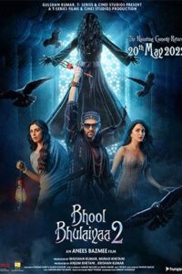 Download Bhool Bhulaiyaa 2 (2022) Hindi Full Movie WEB-DL 480p | 720p | 1080p | 2160p 4K