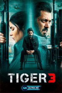 Download Tiger 3 (2023) Hindi AMZN WEB-DL 480p | 720p | 1080p | 2160p 4K UHD